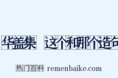 华盖集·这个和那个造句是什么意思的图片